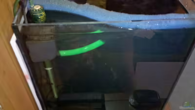Technik im Aquarium Becken 23481 von Exoskelett-Fan (11)