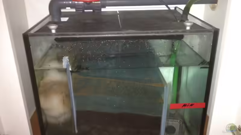 Technik im Aquarium Becken 23671 von Alexander Leixner (10)