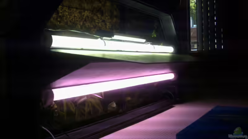 Technik im Aquarium Becken 2373 von Kai Wichmann (6)