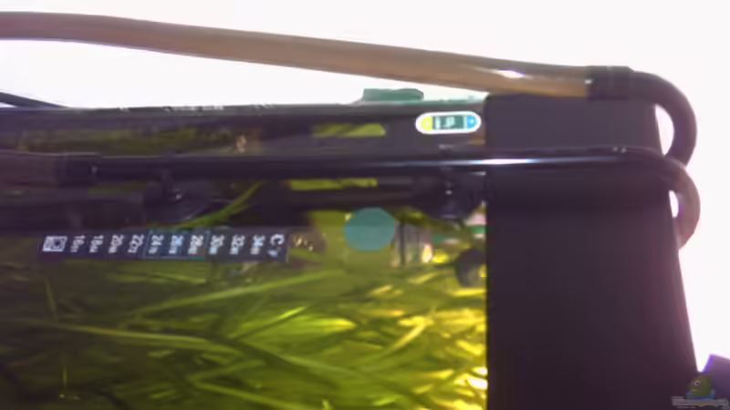 Technik im Aquarium Becken 2373 von Kai Wichmann (7)