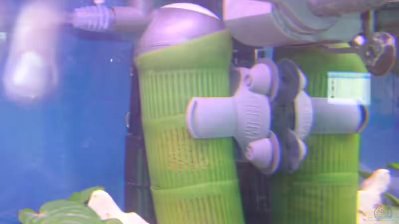 Technik im Aquarium Becken 2374 von Thomas Neuhaus (10)