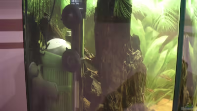 Technik im Aquarium Becken 2397 von Sebastian Zunhammer (4)