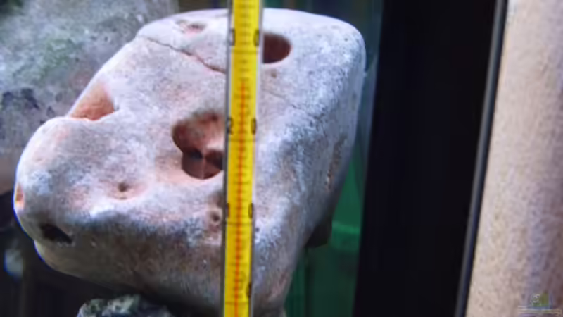 Technik im Aquarium Becken 2422 von Dominik Losinzky (16)