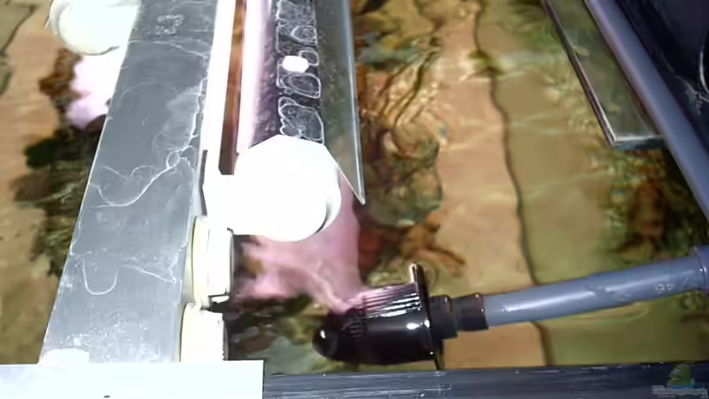 Technik im Aquarium Becken 2422 von Dominik Losinzky (18)