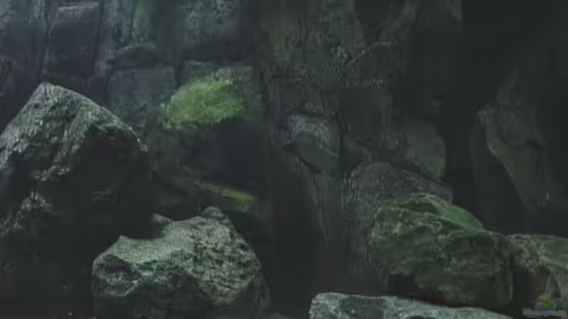 Technik im Aquarium Becken 245 von Tobias Torke (5)