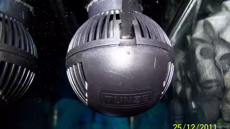 Technik im Aquarium Becken 24596 von Stefan Arenth (26)