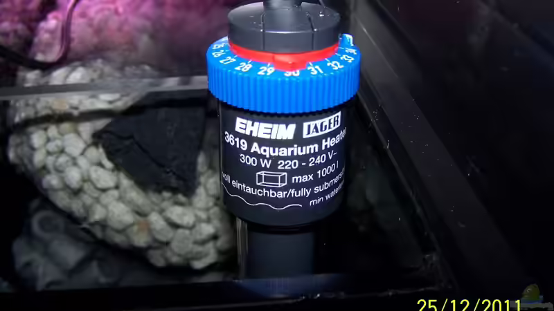 Technik im Aquarium Becken 24596 von Stefan Arenth (27)