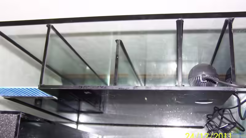 Technik im Aquarium Becken 24596 von Stefan Arenth (28)