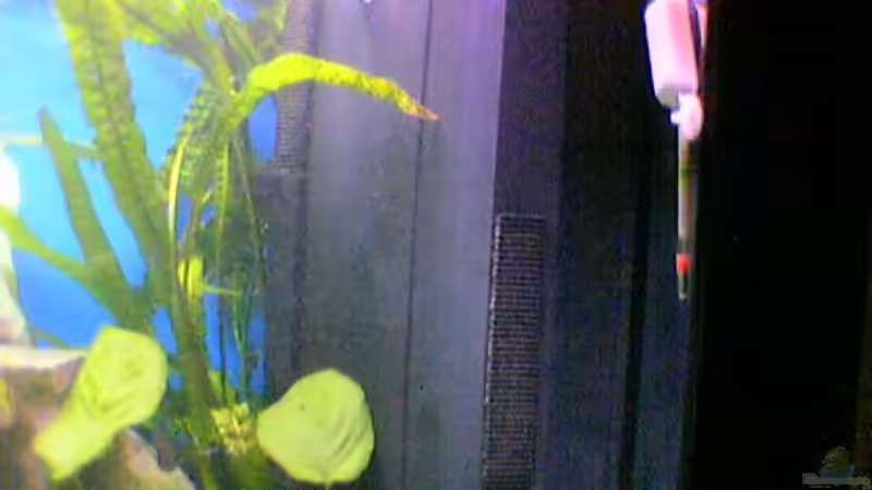 Technik im Aquarium Becken 2500 von Marcus Schulte (16)