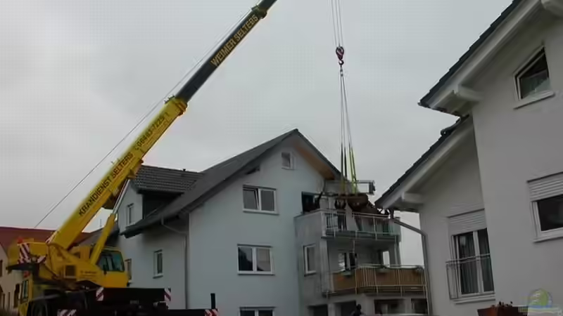 Technik im Aquarium Becken 256 von Schilling (6)