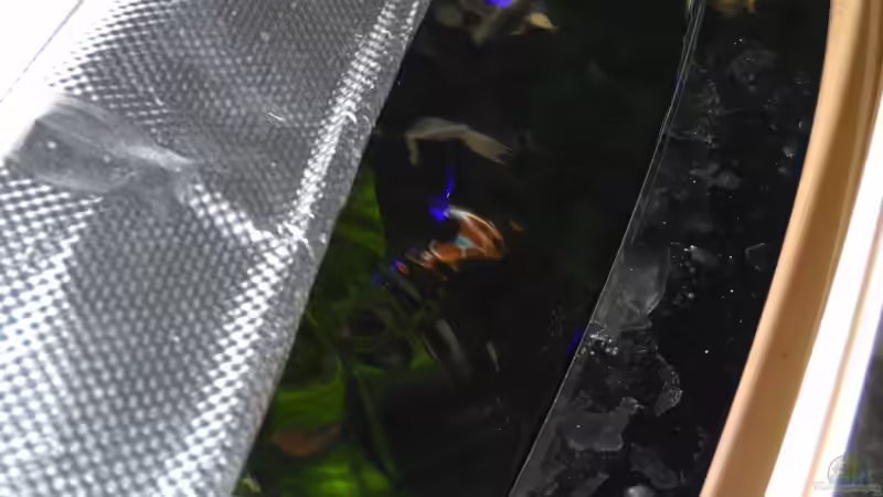 Technik im Aquarium Becken 25630 von Gerhard Zechner (16)