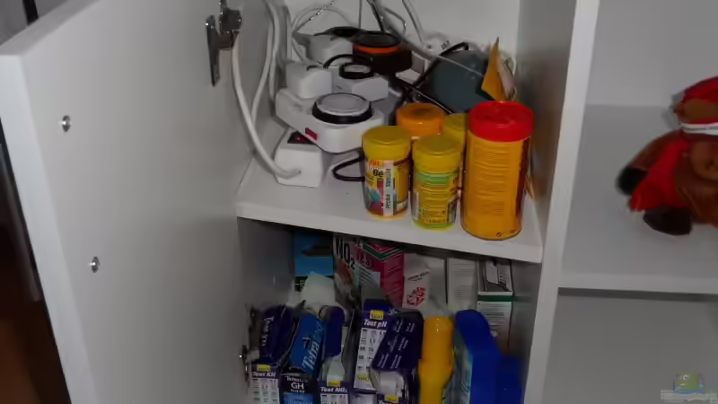 Technik im Aquarium Becken 25630 von Gerhard Zechner (17)