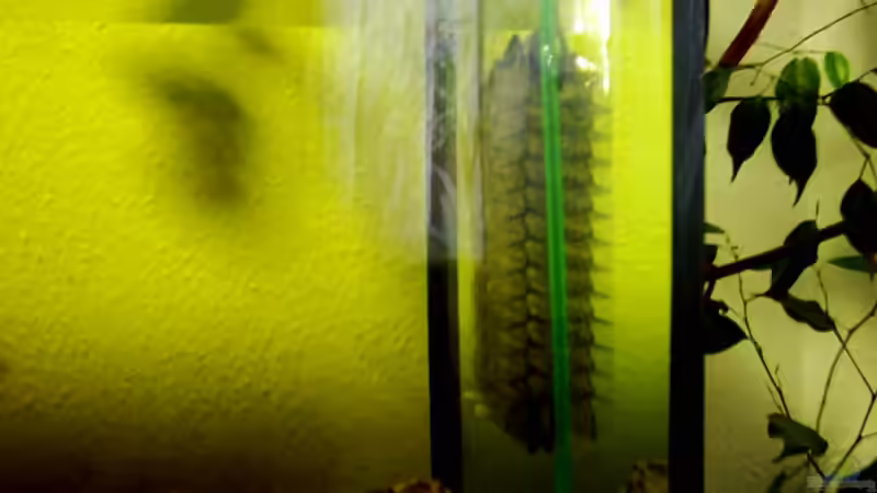 Technik im Aquarium Becken 257 von Monika Panksy (8)