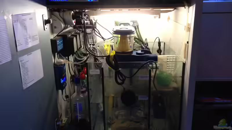 Technik im Aquarium Becken 25974 von Michael Jünger (11)