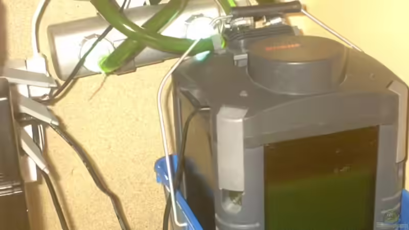 Technik im Aquarium Becken 2615 von Andreas Scheer (7)