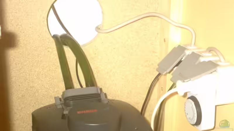 Technik im Aquarium Becken 2615 von Andreas Scheer (8)