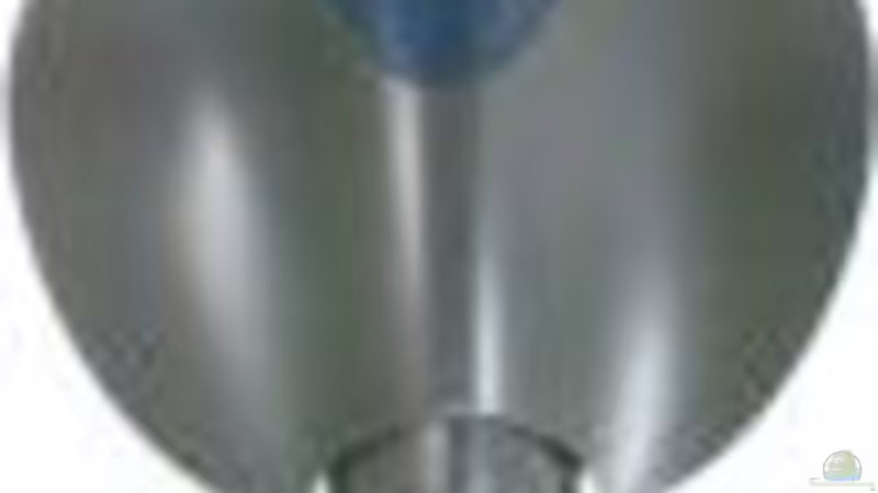 Technik im Aquarium Becken 2628 von Katharina Busch (8)