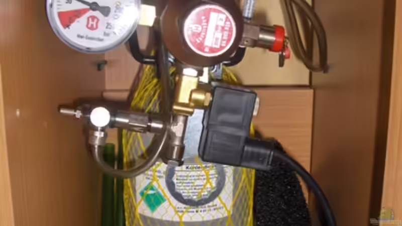 Technik im Aquarium Becken 2638 von Daniel Raasch (14)