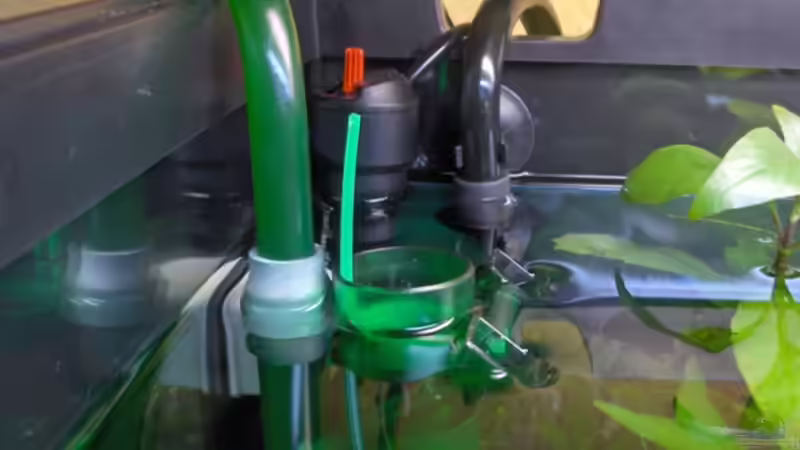 Technik im Aquarium Becken 2638 von Daniel Raasch (15)