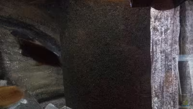 Technik im Aquarium Becken 26401 von malawiwilly (5)