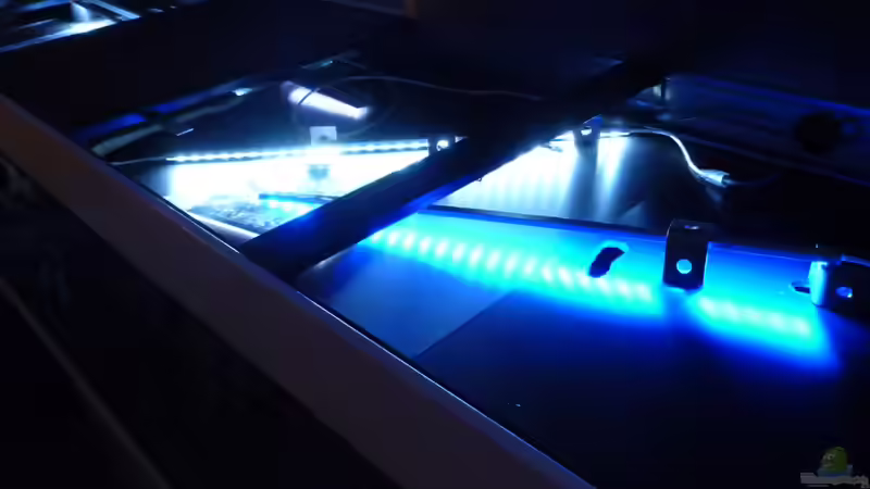 Technik im Aquarium Becken 26661 aufgelöst von namaycushfreak (17)