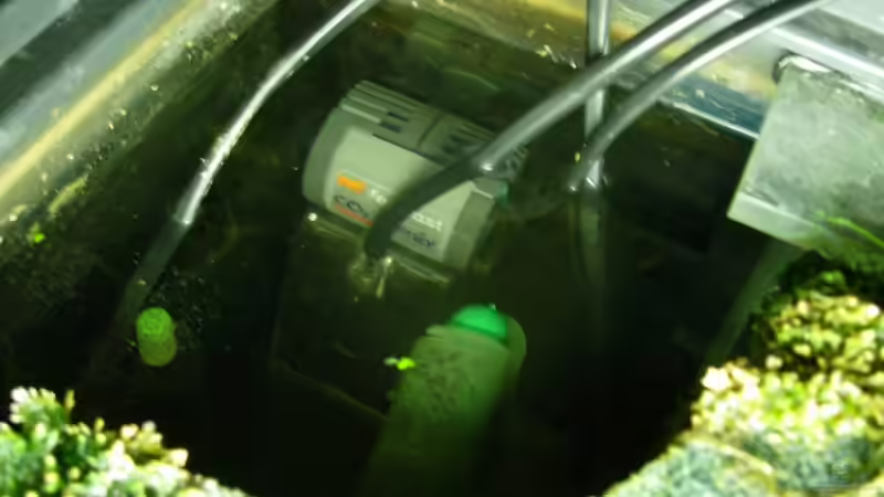 Technik im Aquarium Becken 2669 von Daniel_ (13)