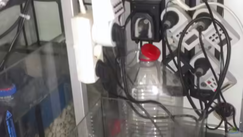 Technik im Aquarium Becken 26778 von Stefan Eckers (19)