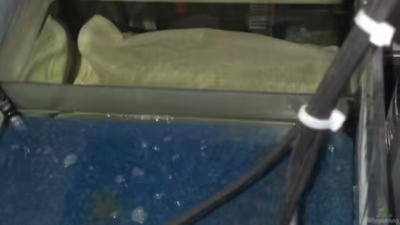 Technik im Aquarium Becken 26778 von Stefan Eckers (20)