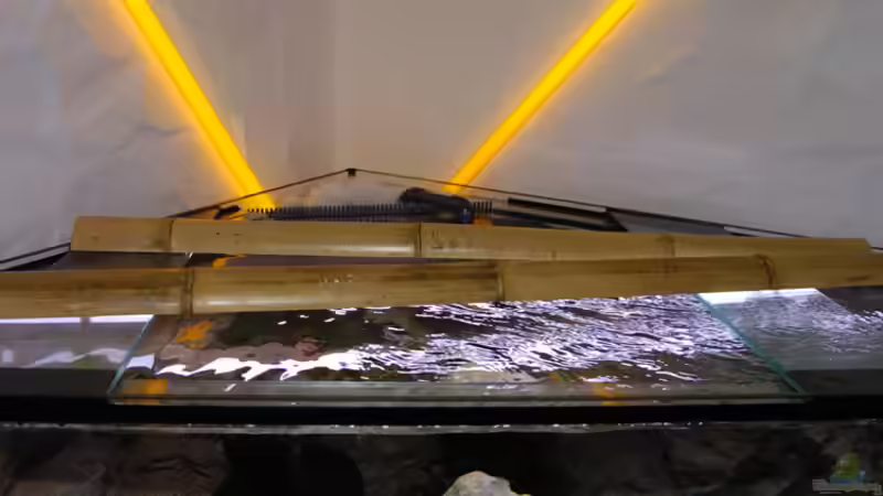 Technik im Aquarium Becken 268 von Helmut Hollfelder (10)