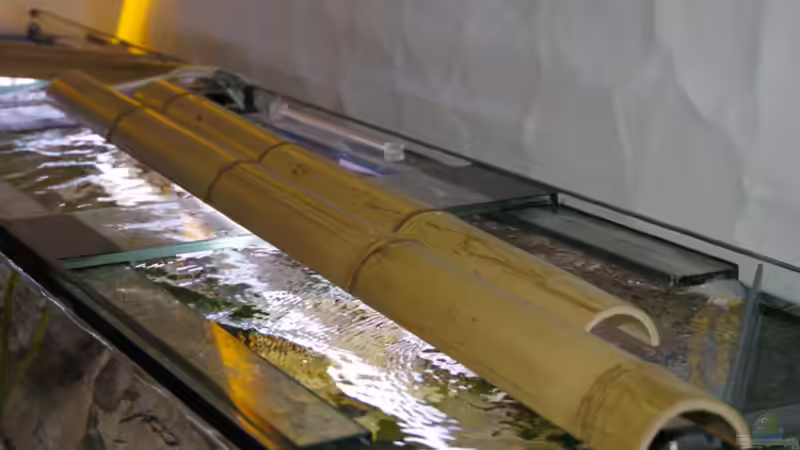 Technik im Aquarium Becken 268 von Helmut Hollfelder (9)