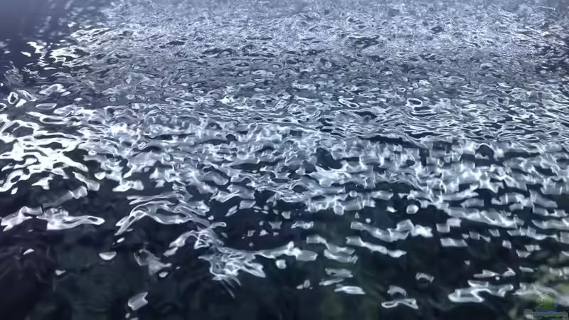 Technik im Aquarium Becken 26811 von Anboy (4)