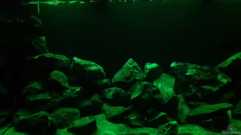 Technik im Aquarium Becken 26811 von Anboy (7)