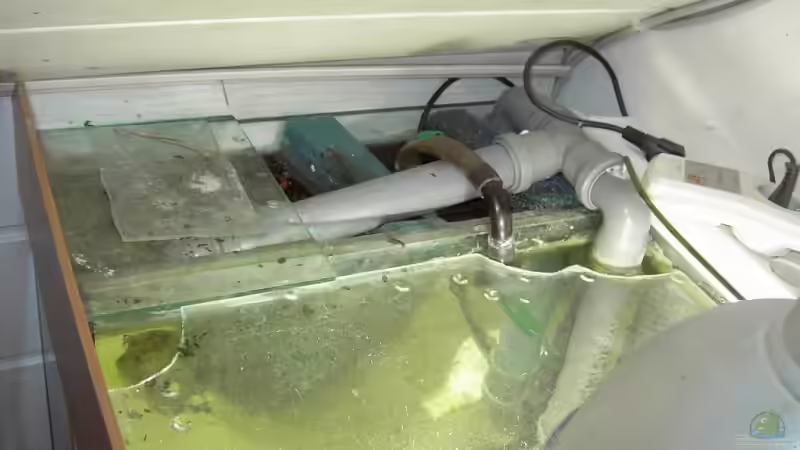 Technik im Aquarium Becken 2682 von Enrico Pinkert (10)