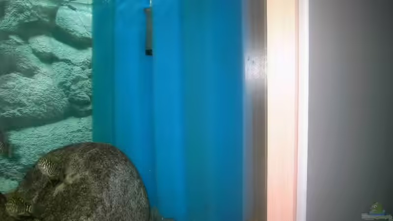 Technik im Aquarium Becken 2682 von Enrico Pinkert (6)