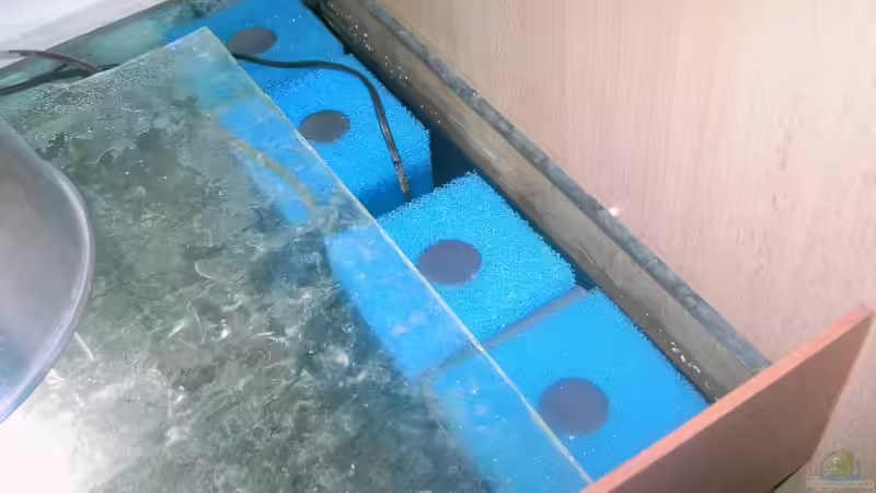 Technik im Aquarium Becken 2682 von Enrico Pinkert (7)