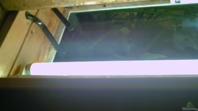 Technik im Aquarium Becken 2699 von Thomas Schröder (16)