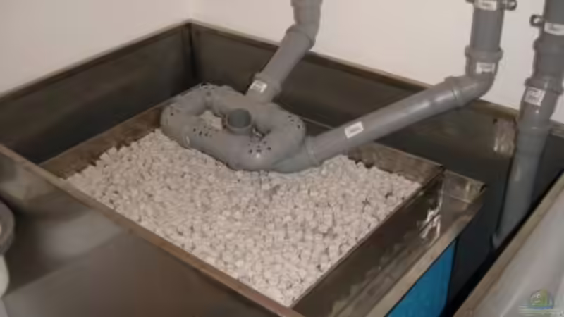 Technik im Aquarium Becken 271 von Manfred Miller (5)