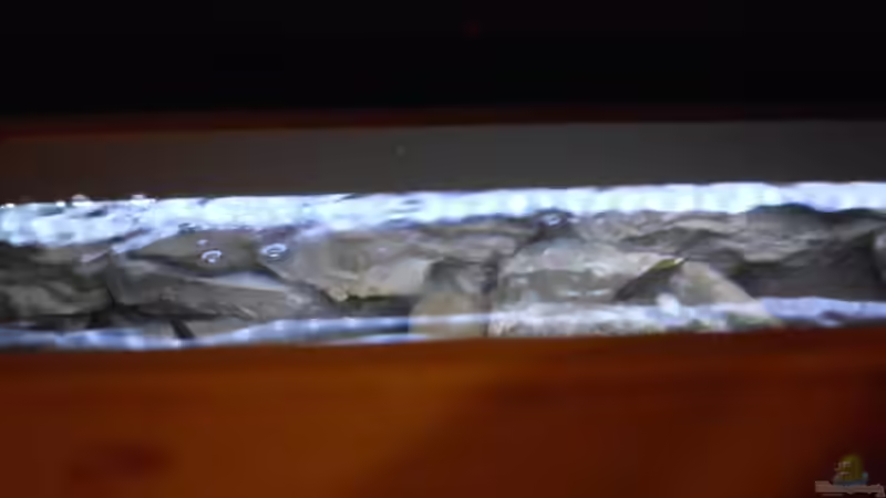 Technik im Aquarium Becken 27195 von Angelheart (11)