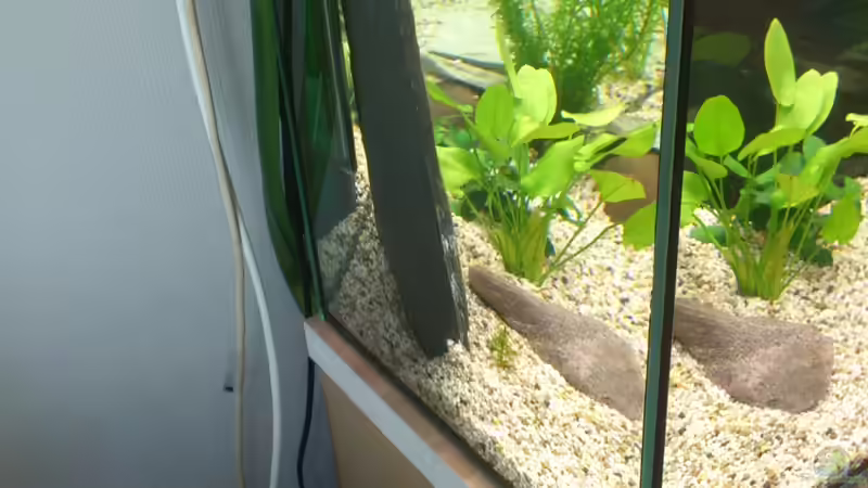 Technik im Aquarium Becken 27229 von Christian Kleinhenz (18)