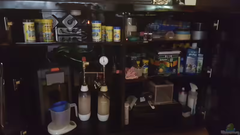 Technik im Aquarium Becken 27240 von Eisbaer (16)