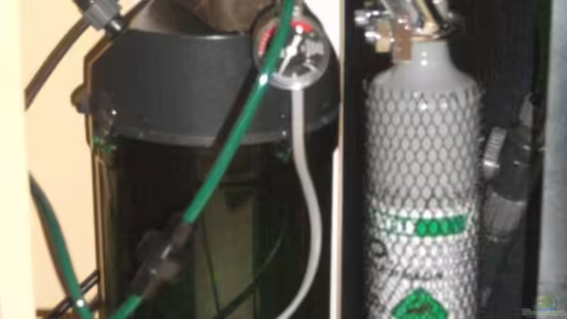 Technik im Aquarium Becken 27368 von Svenja Zeidler (17)