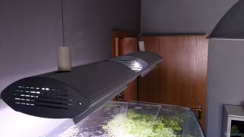 Technik im Aquarium Becken 27455 (nur noch als Beispiel) von Oliver Boden (42)