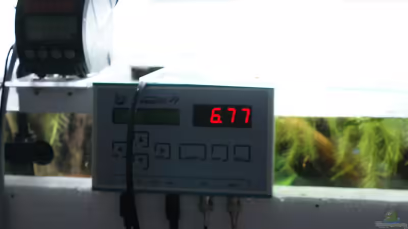 Technik im Aquarium Becken 27455 (nur noch als Beispiel) von Oliver Boden (43)