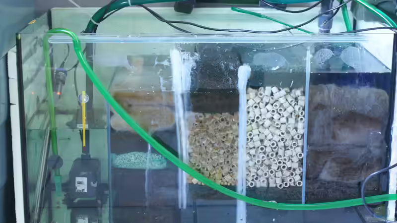 Technik im Aquarium Becken 27455 (nur noch als Beispiel) von Oliver Boden (44)