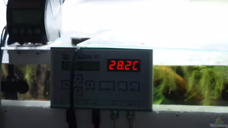 Technik im Aquarium Becken 27455 (nur noch als Beispiel) von Oliver Boden (45)