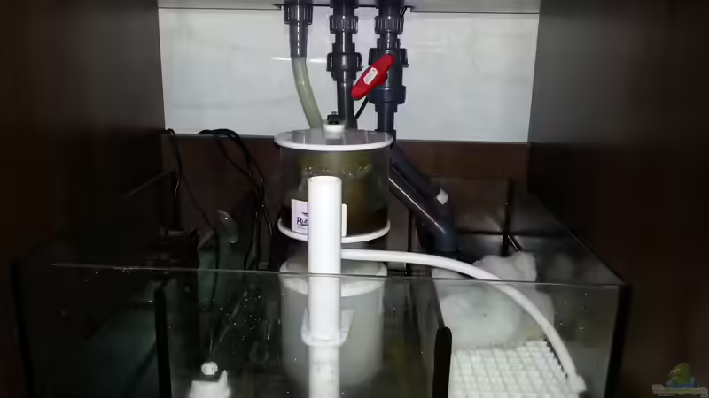 Technik im Aquarium Becken 27697 von La-Sasch (16)