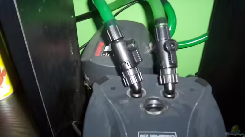 Technik im Aquarium Becken 2798 von Michael Schillerwein (12)