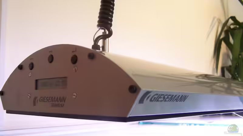 Technik im Aquarium Becken 2802 von Jan Metschurin (7)