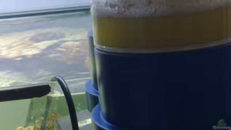 Technik im Aquarium Becken 28039 von Freakesoit (13)