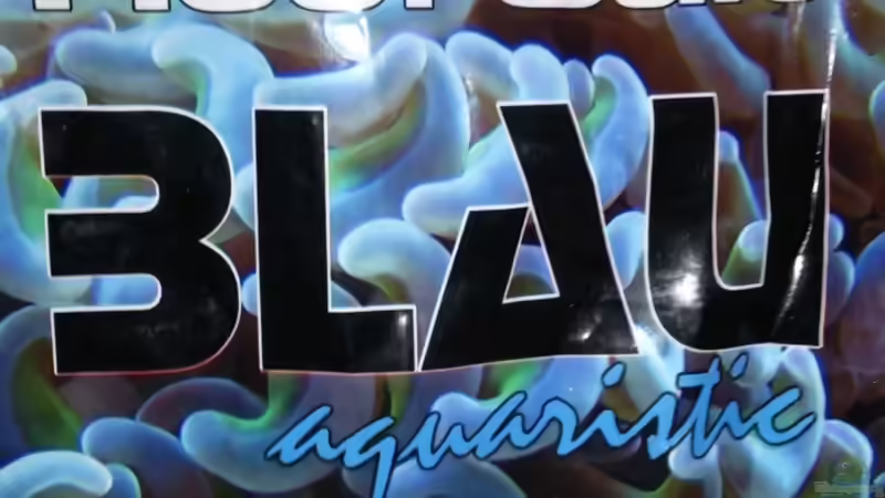 Technik im Aquarium Becken 28039 von Freakesoit (15)